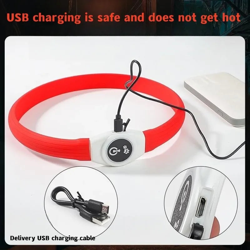 USB Rechargeable LED Safety Dog Collar
