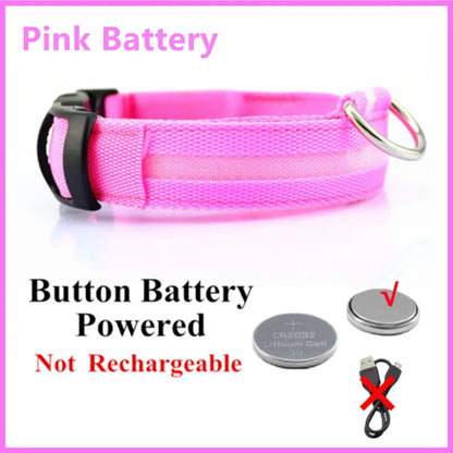 USB Rechargeable LED Dog Safety Collar