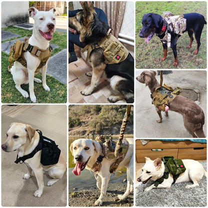 Heavy-Duty Tactical Dog Harness & Leash Set