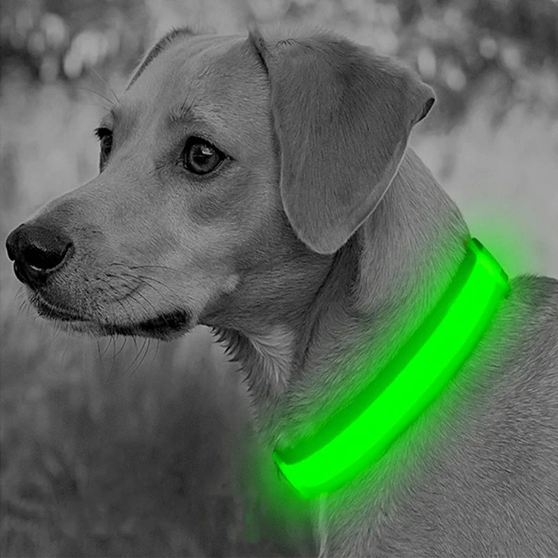 USB Rechargeable LED Dog Safety Collar