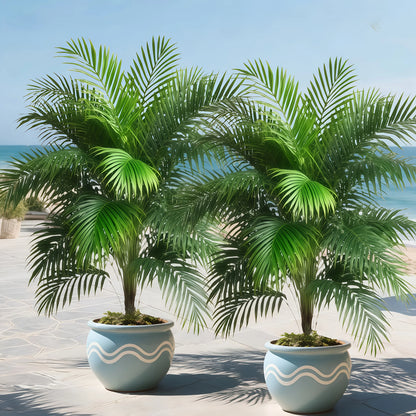 2-Piece Large Artificial Palm Trees for Indoor & Outdoor Decor