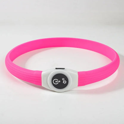 USB Rechargeable LED Safety Dog Collar