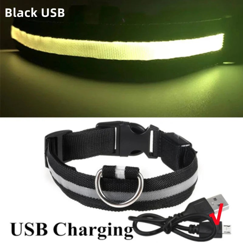 USB Rechargeable LED Glowing Dog Collar