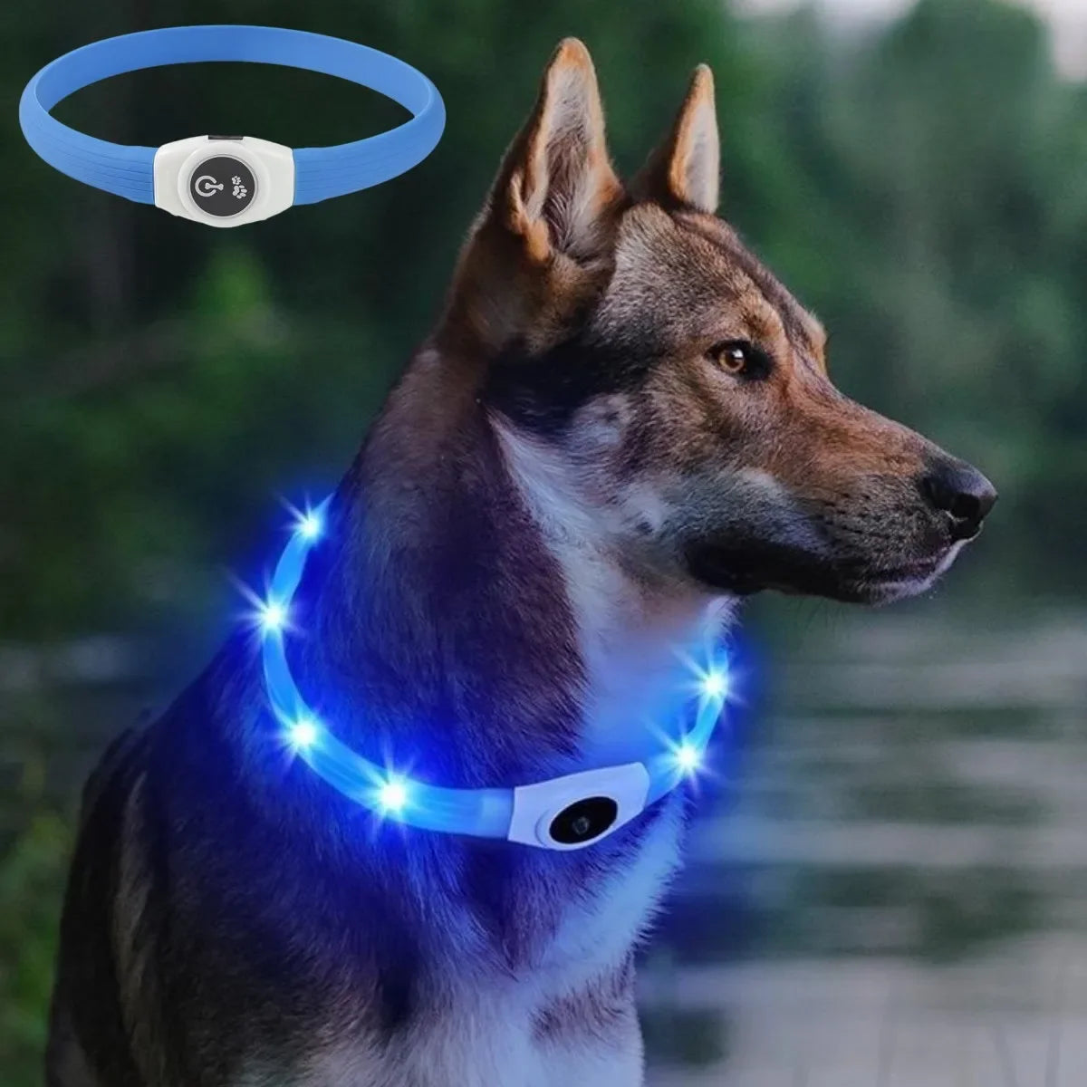 USB Rechargeable LED Safety Dog Collar