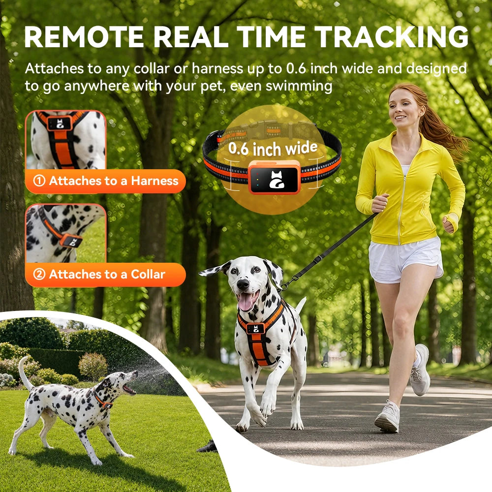 4G GPS Pet Tracker Collar with Health Monitor