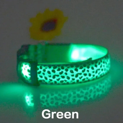 Leopard Print LED Safety Dog Collar