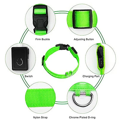 USB Rechargeable LED Dog Safety Collar
