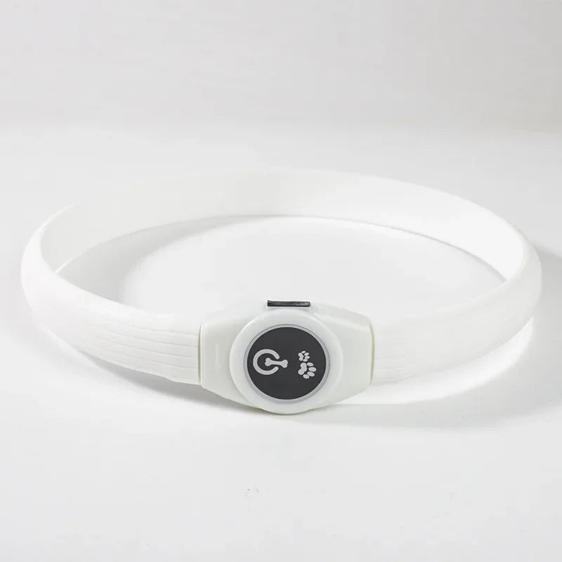 USB Rechargeable LED Safety Dog Collar