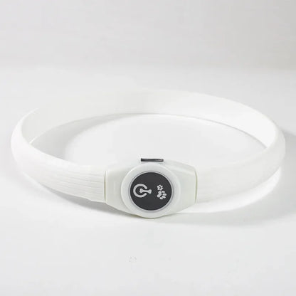 USB Rechargeable LED Safety Dog Collar