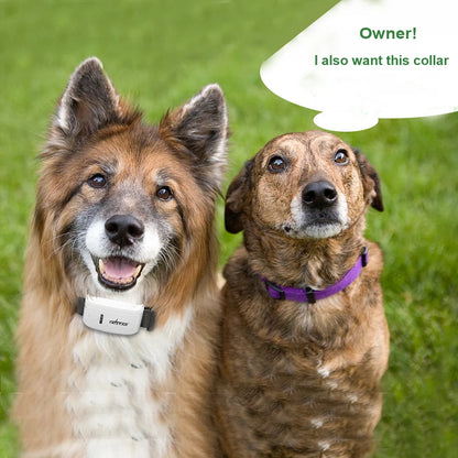 GPS Pet Tracker with Mobile App